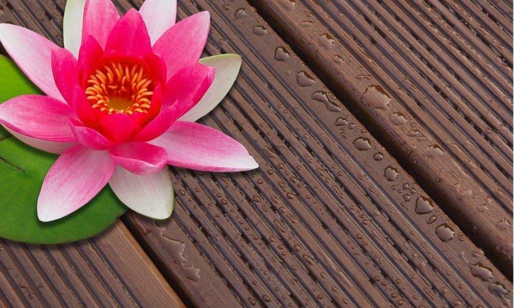 Terrassendielen resoursa mit Wachslasur, Lotuseffekt